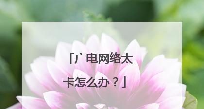 手机网络延迟高问题的解决方法（通过优化网络设置提高手机网络速度与稳定性）