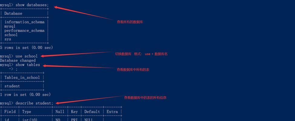 数据库创建命令的使用指南（掌握数据库创建命令）