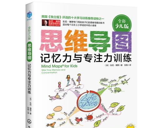 如何有效提高孩子的专注力？专注力训练有哪些方法？